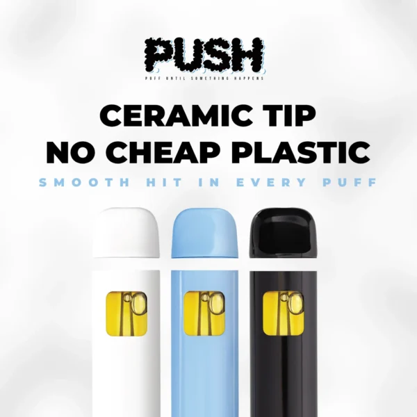 Push Disposable 1g