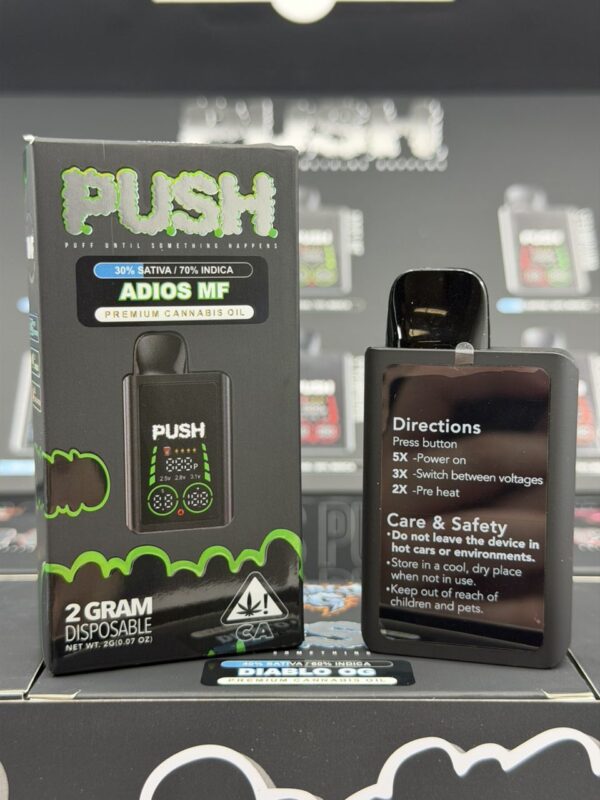 Push 2 gram Disposable