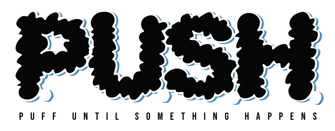 officialpushdisposables.com