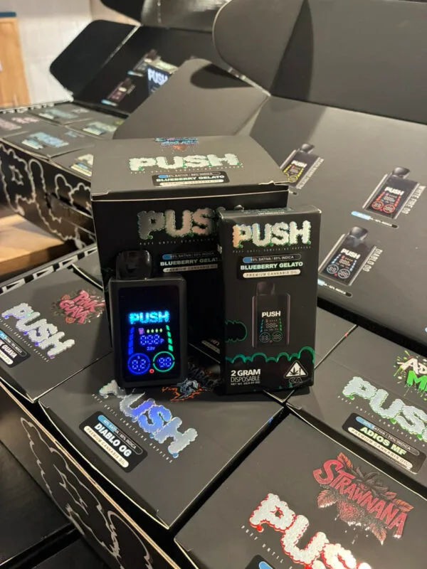 Push Disposable 2g