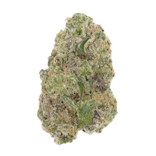 Oregon Lemons strain Oregon Lemons strain