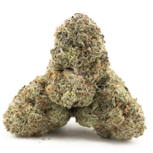 Frost Donkey Marijuana 1 Frost Donkey Strain