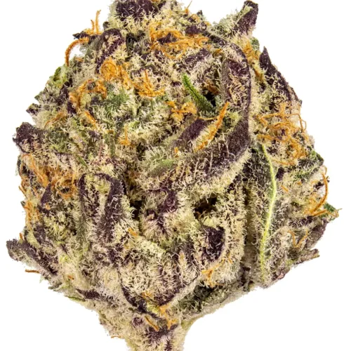 Grape Z marijuana Grape Z strain