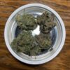Frost Donkey Marijuana Frost Donkey Marijuana