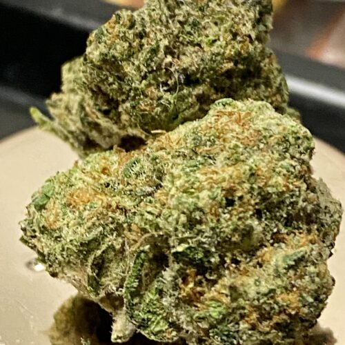 Gelato Glaze Marijuana Gelato Glaze strain