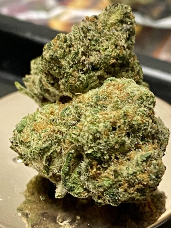 Gelato Glaze Marijuana Gelato Glaze strain