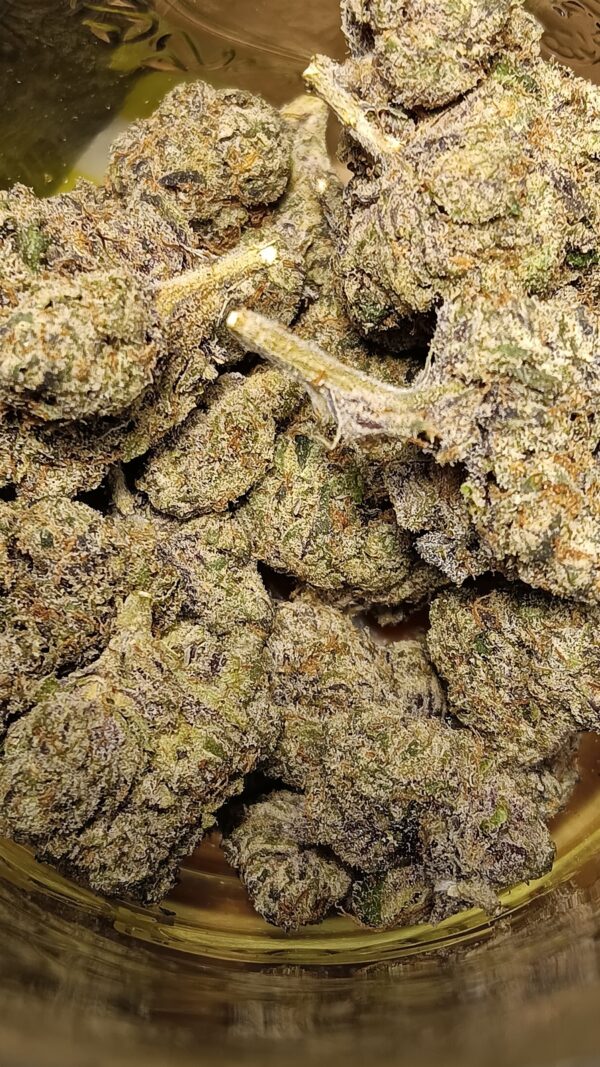 Gelato Glaze Marijuana Gelato Glaze Marijuana