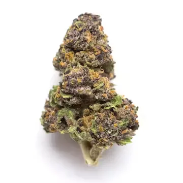 Limoncello strain Limoncello strain