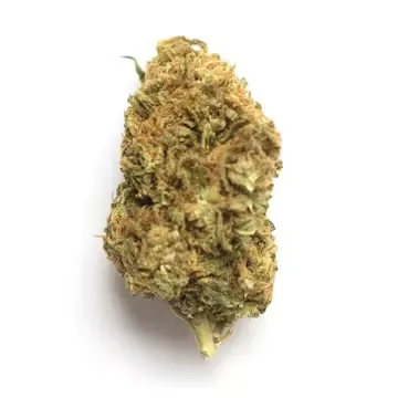 Pie Face strain Pie Face Strain